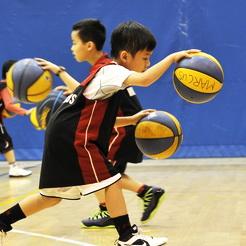 YOUNG SEED BEGINNER 幼苗組 初階 photo 6 YOUNG SEED BEGINNER 幼苗組 初階 photo 6